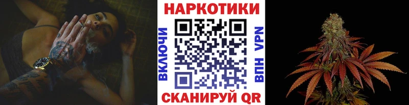 Галлюциногенные грибы Каргополь