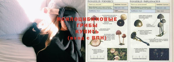 первитин Абаза
